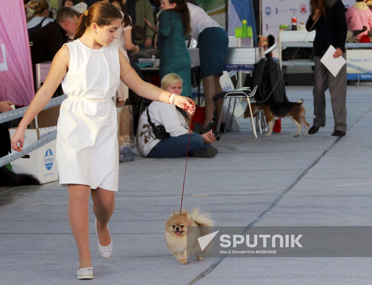 Russia Dog Show