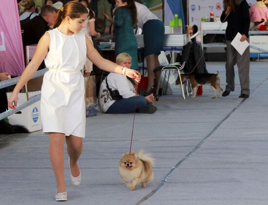 Russia Dog Show