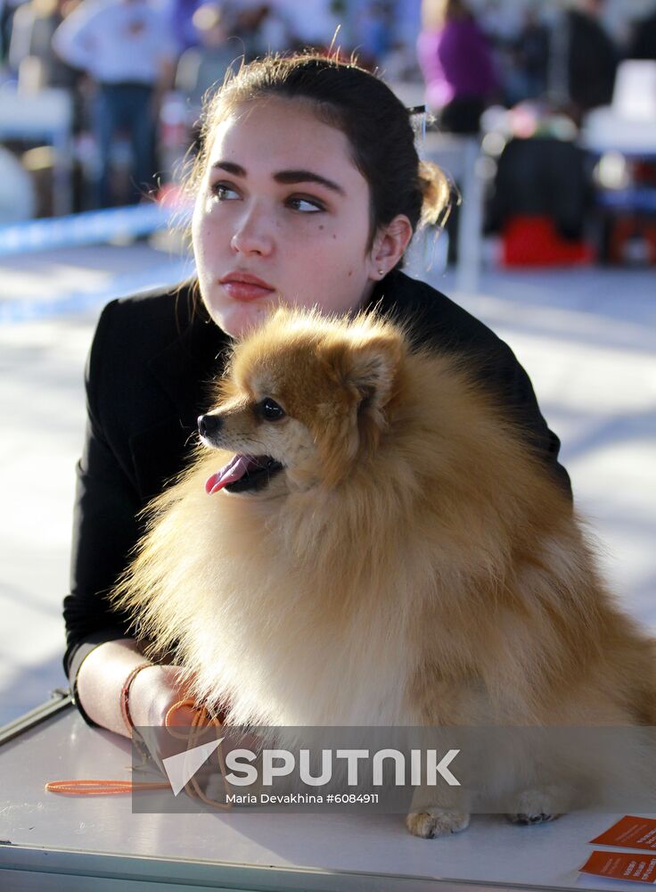 Russia Dog Show