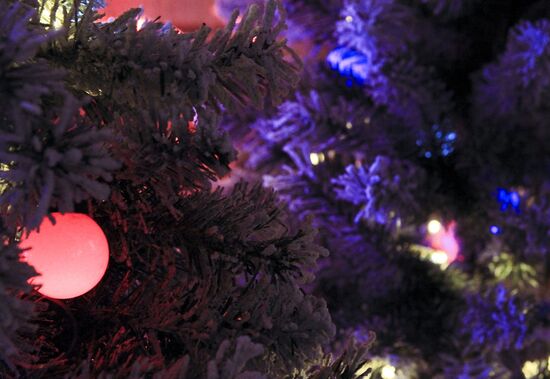 Russia New Year Preparations