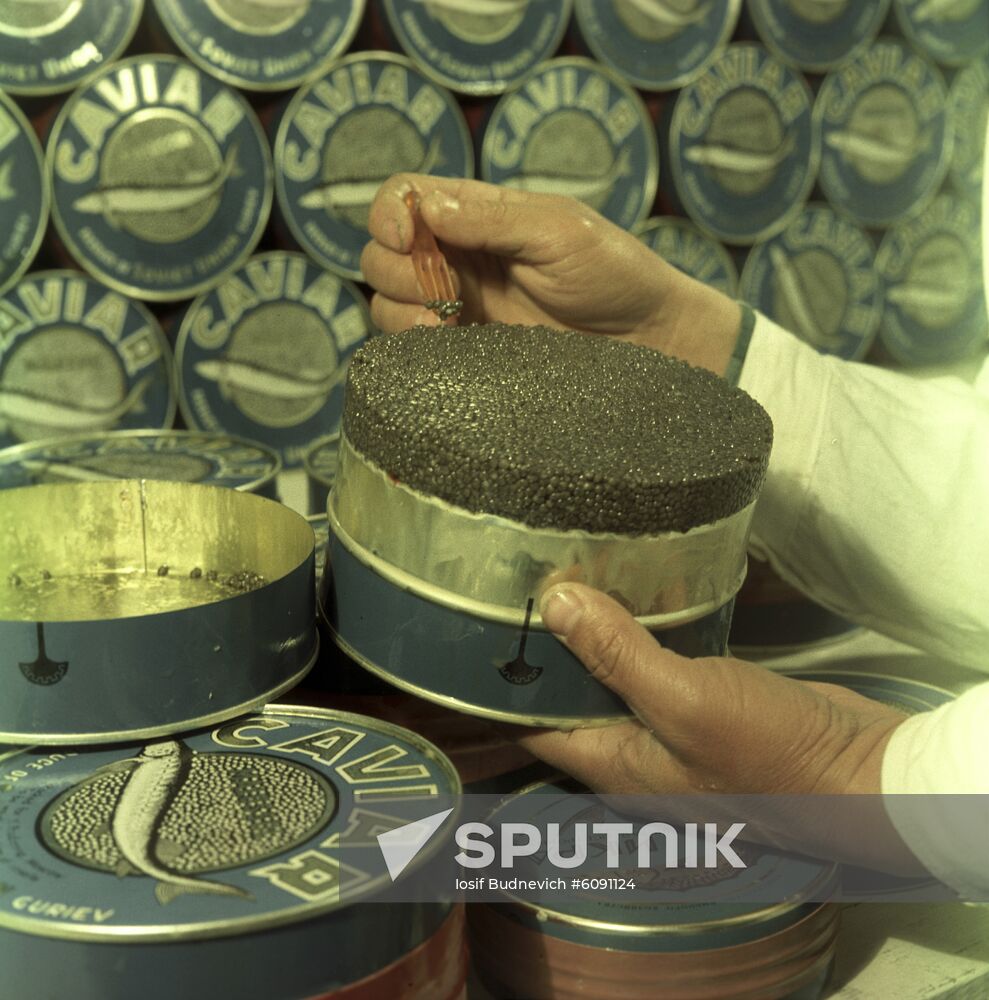 Guryev fish cannery in Kazakhstan