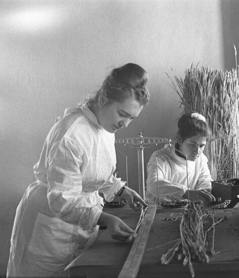 All-Union Research Institute of Agricultural Afforestation