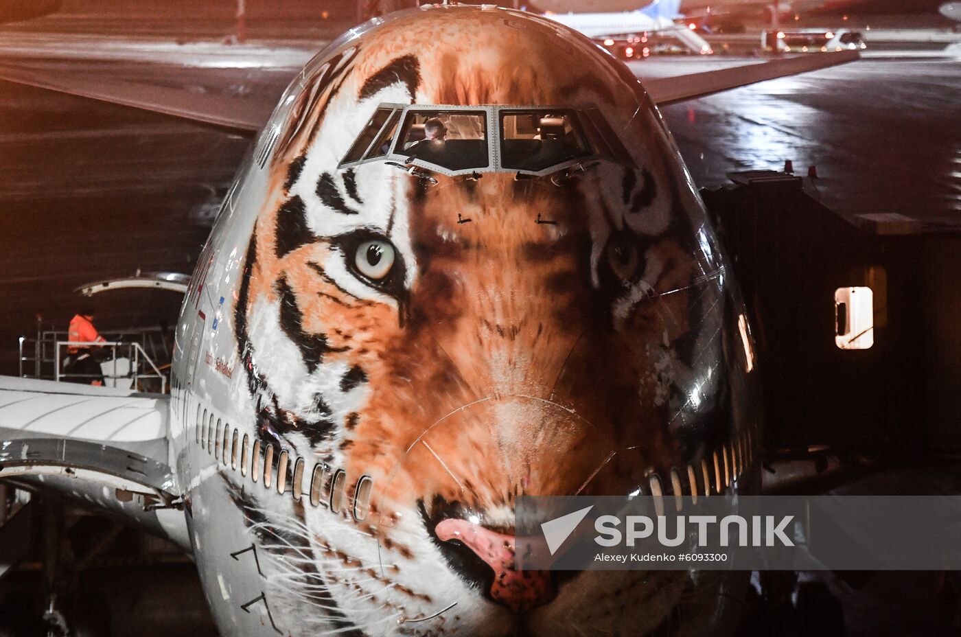 Russia Tiger Plane 