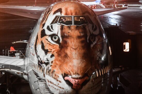 Russia Tiger Plane 