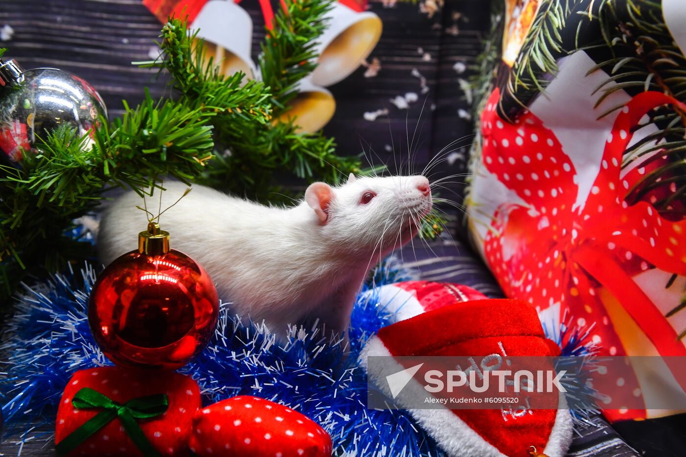 Russia New Year Preparations