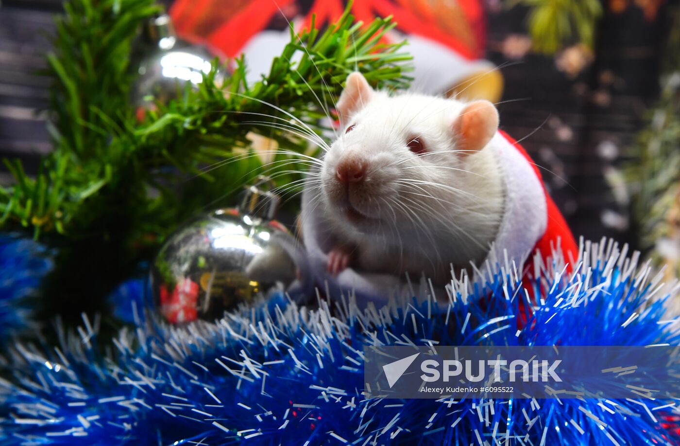 Russia New Year Preparations