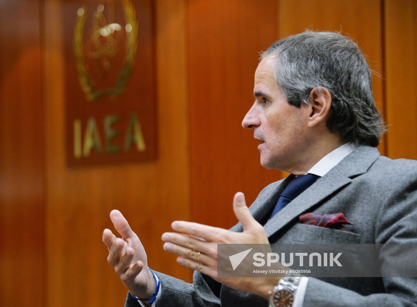 Austria IAEA Director General