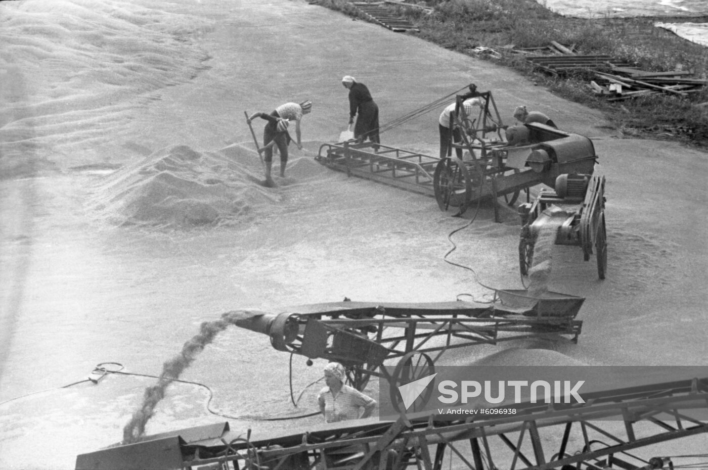 Grain-drying facility in Lukhovitsy