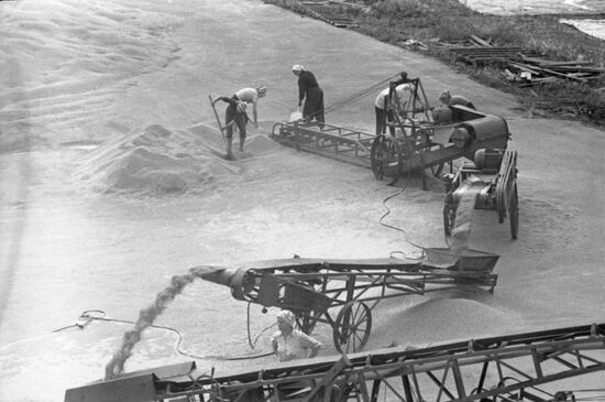 Grain-drying facility in Lukhovitsy