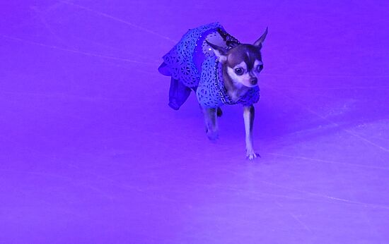Italy Figure Skating Grand Prix Final Awarding Ceremony