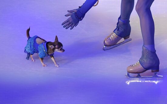 Italy Figure Skating Grand Prix Final Awarding Ceremony