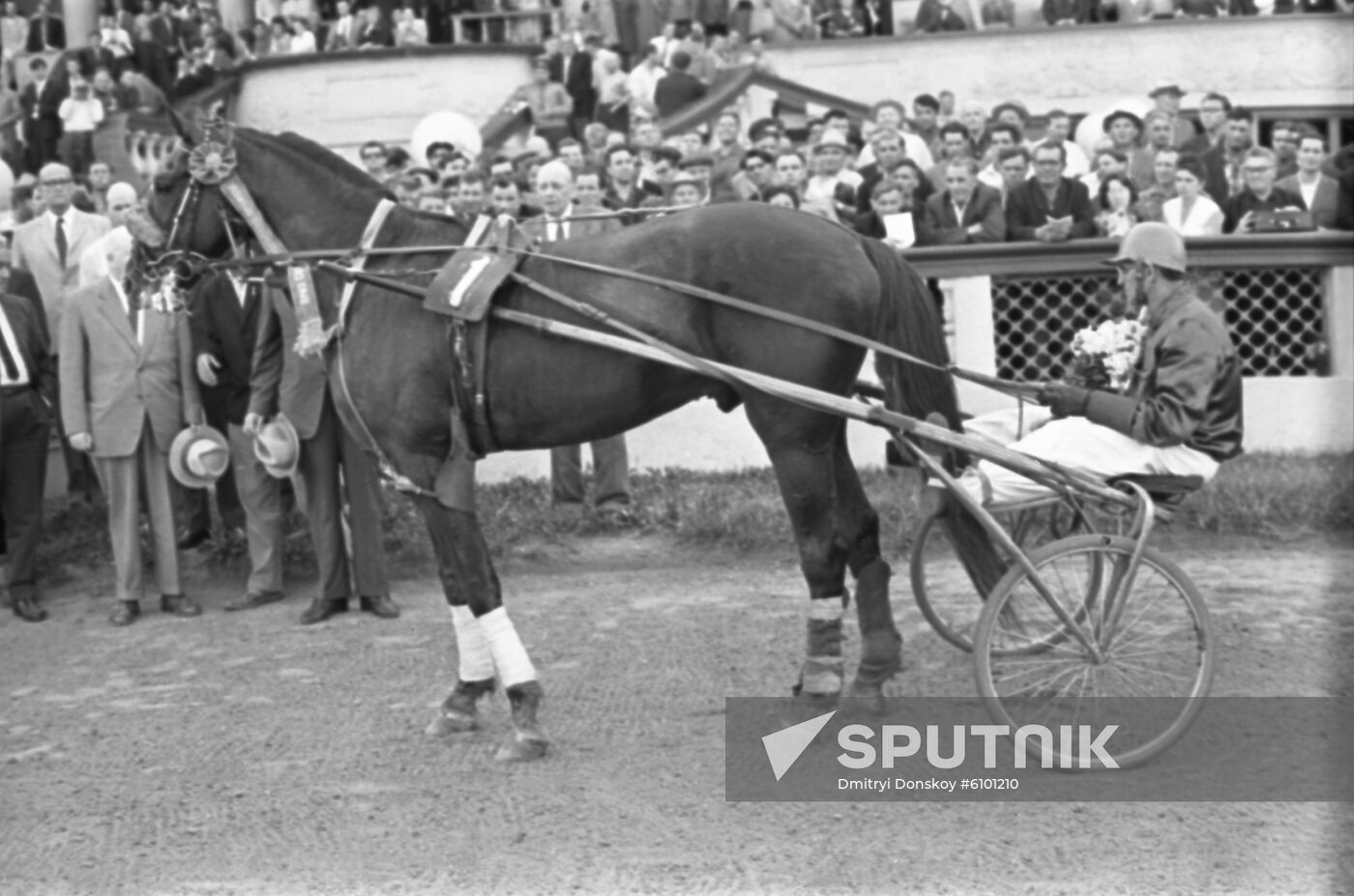 International Trotting and Galloping Competition