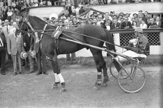 International Trotting and Galloping Competition