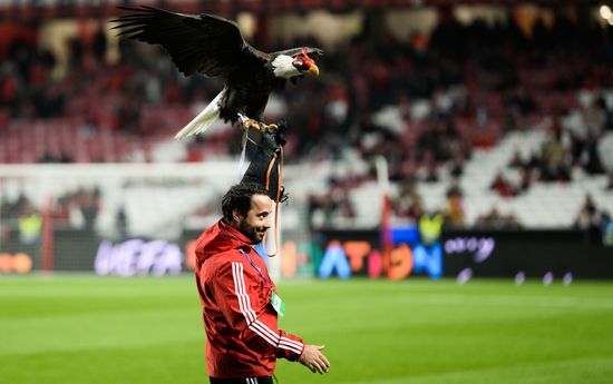 Portugal Soccer Champions League Benfica - Zenit
