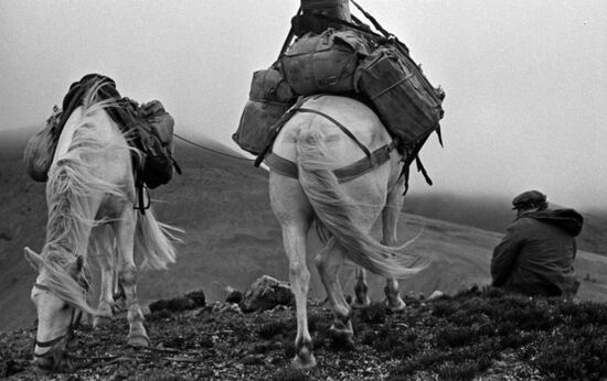 Long journey to new camp