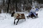 A man dressed as Santa Claus rides a reindeer harness in Royev Ruchei flora and fauna park, Krasnoyarsk, Russia. Author: Ilya Naymushin/Sputnik. Russia New Year Preparations