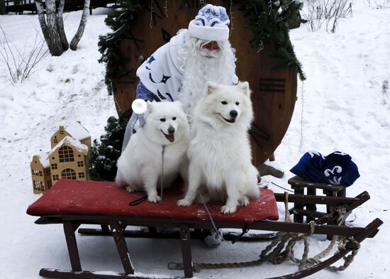 Russia New Year Preparations