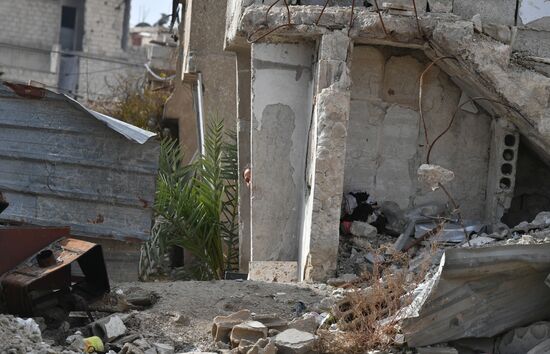 Syria Daily Life