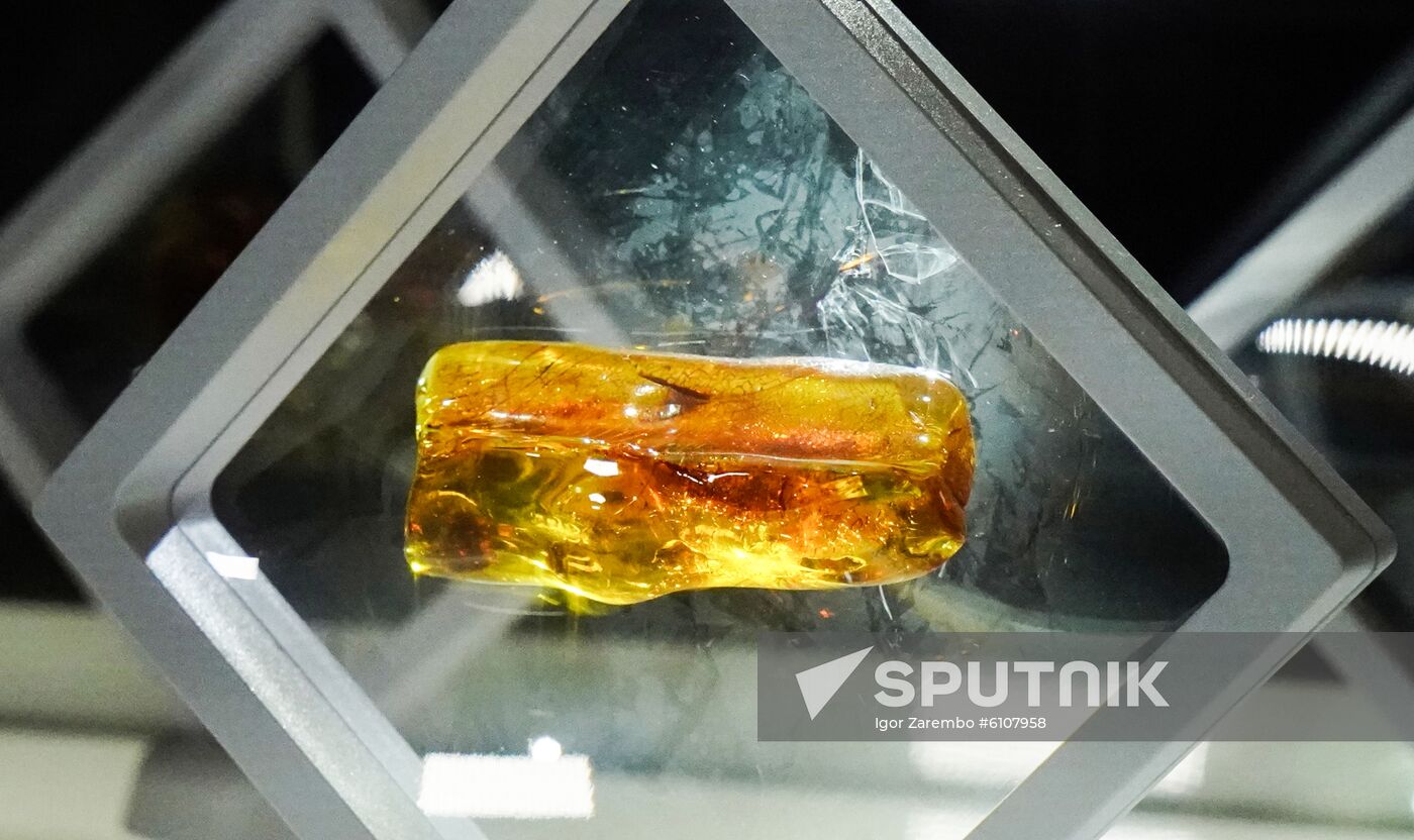 Russia Amber Auction
