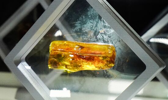 Russia Amber Auction
