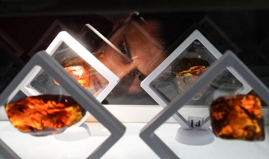 Russia Amber Auction