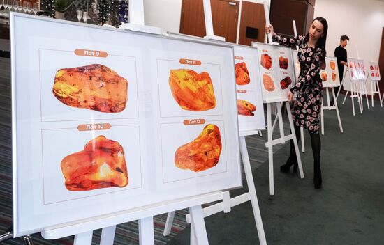 Russia Amber Auction