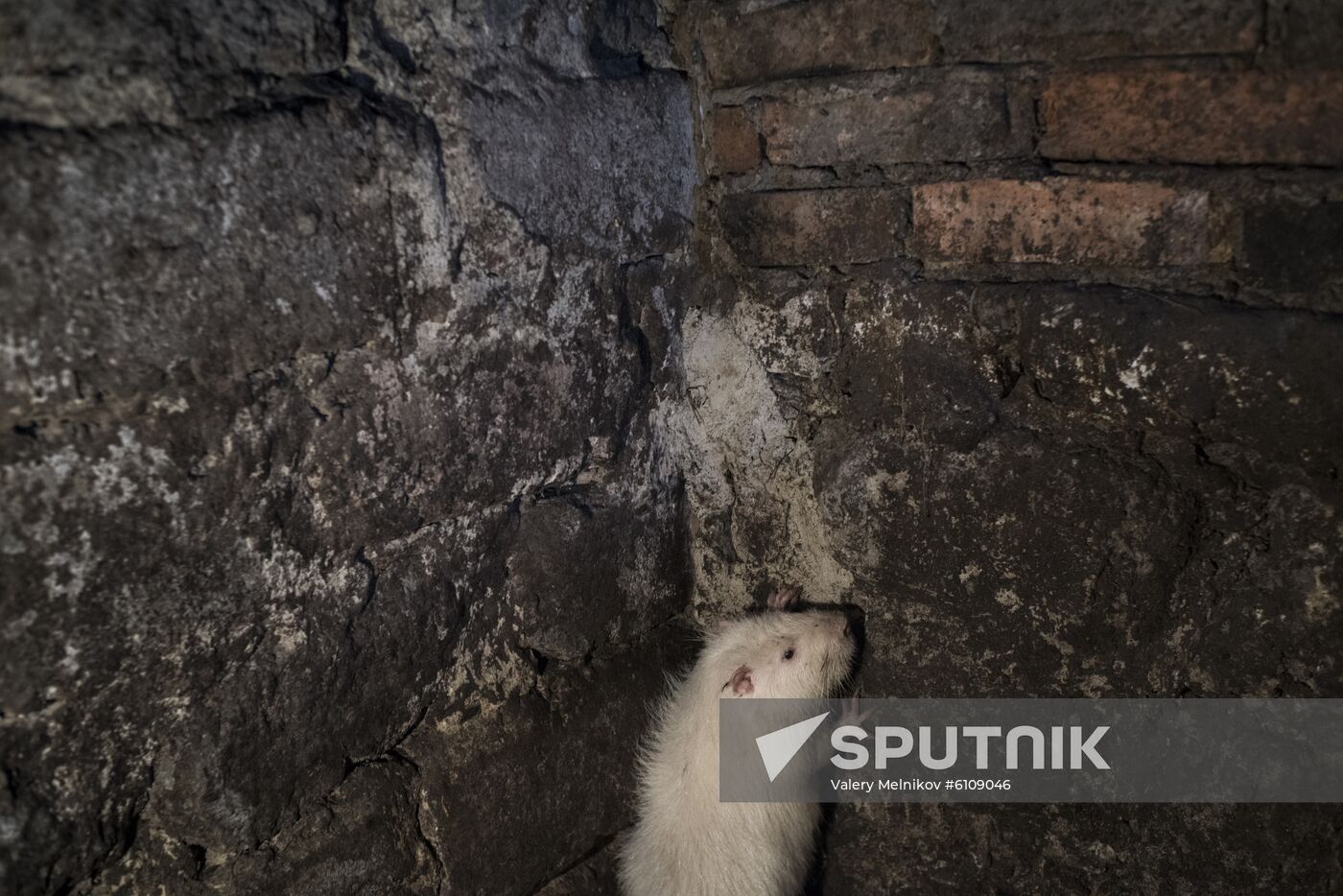 Ukraine DPR LPR Conflict