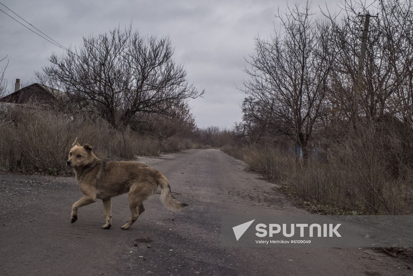 Ukraine DPR LPR Conflict