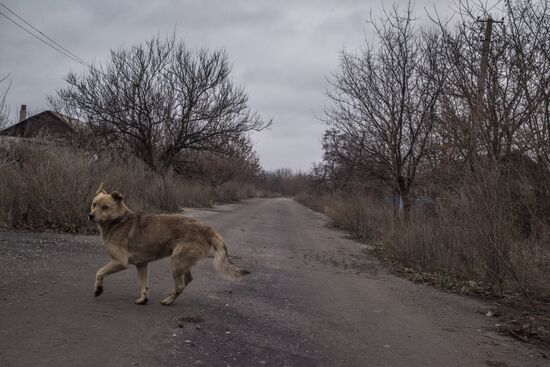 Ukraine DPR LPR Conflict