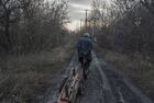 A local resident uses a wheelbarrow to transport firewood in the town of Horlivka in Donetsk region, controlled by the self-proclaimed Donetsk People's Republic, Ukraine. Location: Ukraine, Donetsk region. Author: Valery Melnikov/Sputnik. Ukraine DPR LPR Conflict