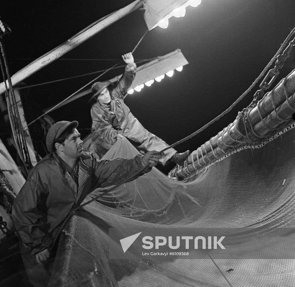 Catching saury off Kuril Islands