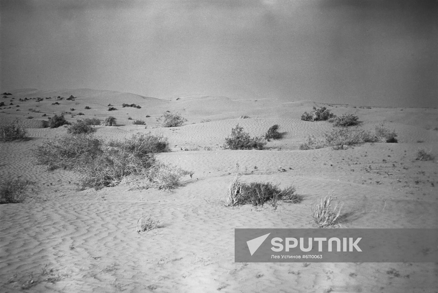 Karakum Desert in Turkmenia