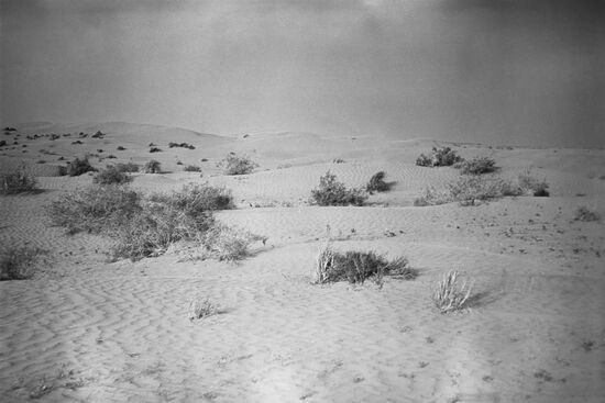 Karakum Desert in Turkmenia