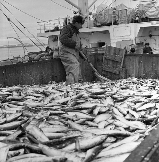Fishing industry on Sakhalin Island