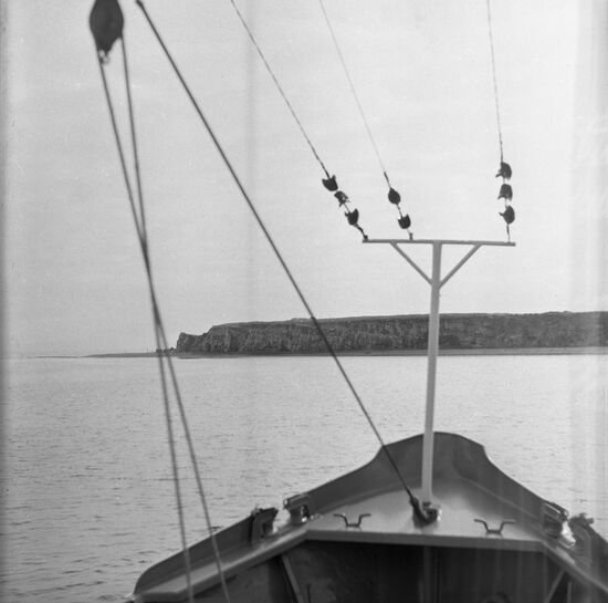 Tyuleny Island in Okhotsk Sea