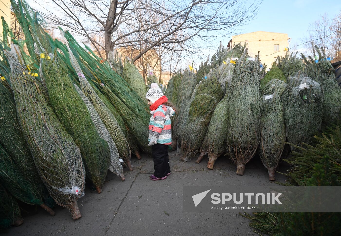 Russia New Year Preparations