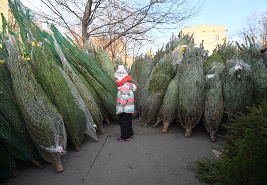 Russia New Year Preparations