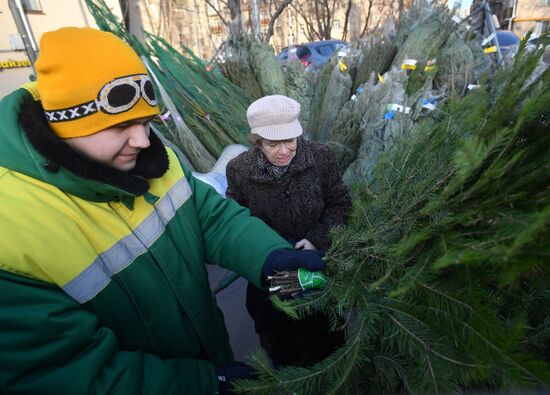 Russia New Year Preparations