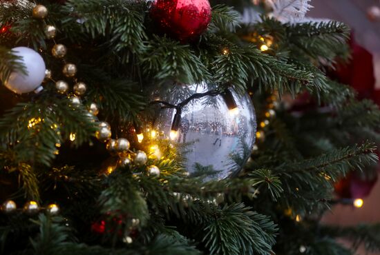 Russia New Year Preparations