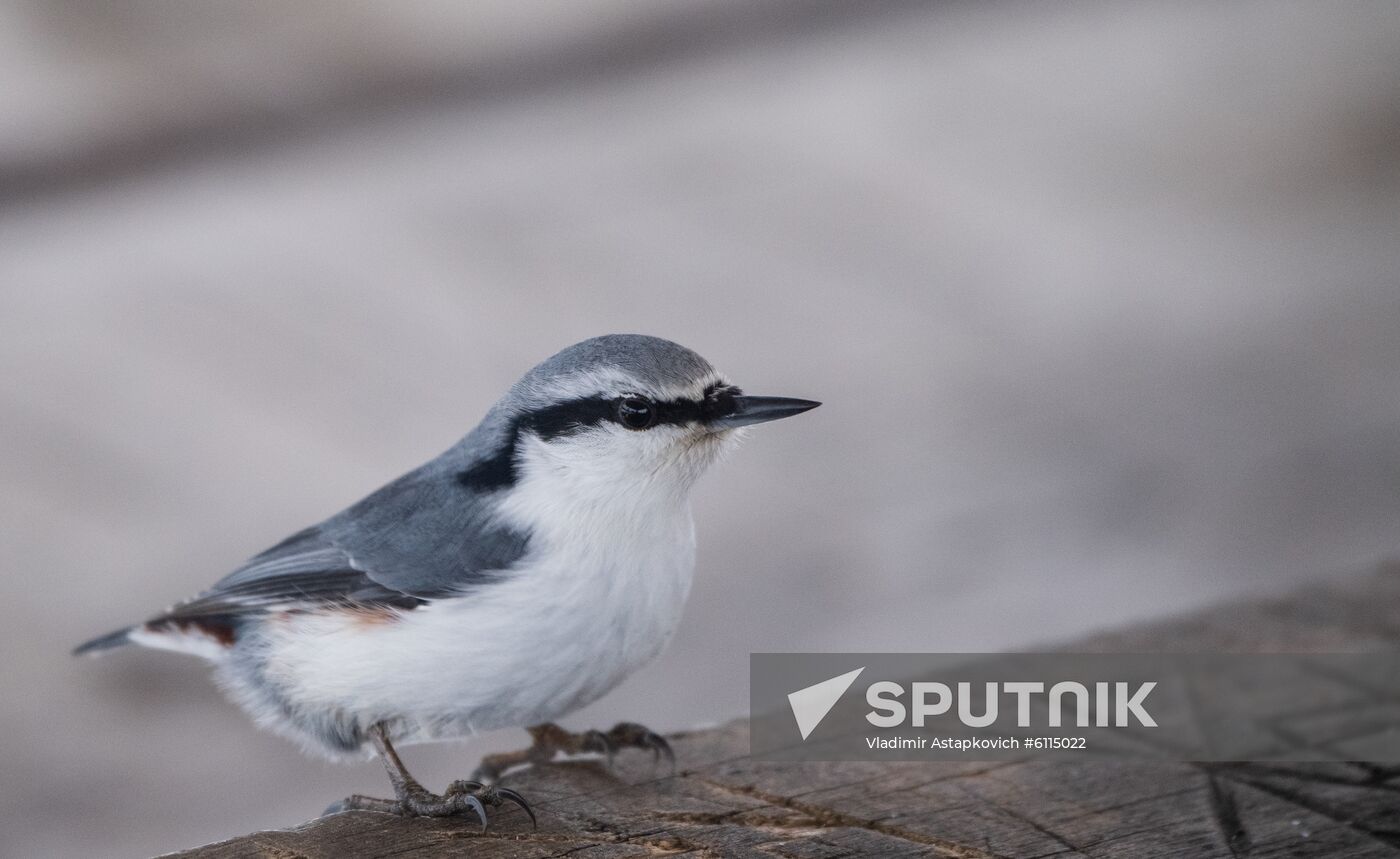 Russia Zyuratkul National Park