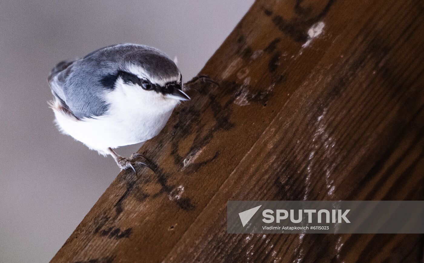 Russia Zyuratkul National Park