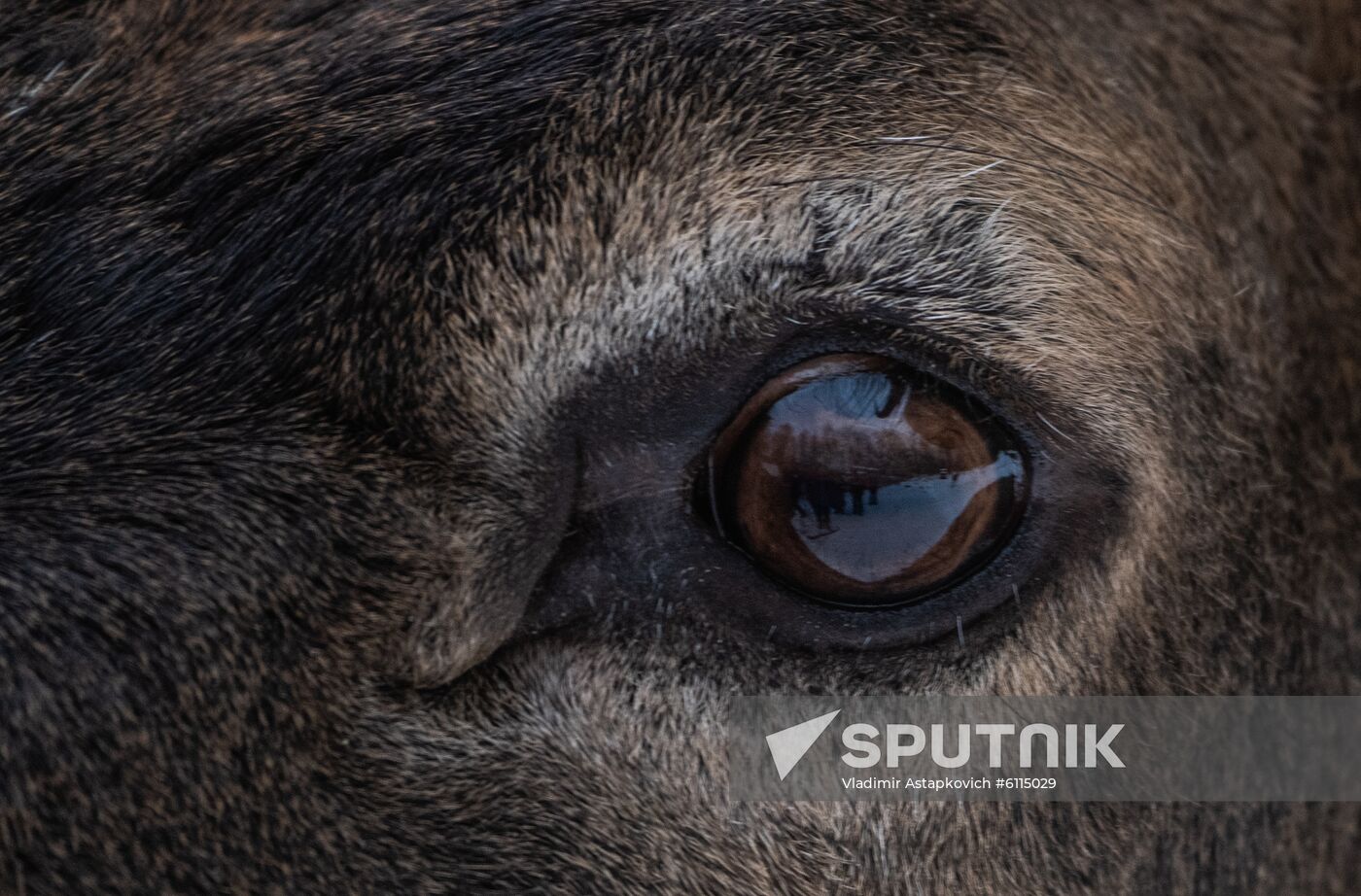 Russia Zyuratkul National Park