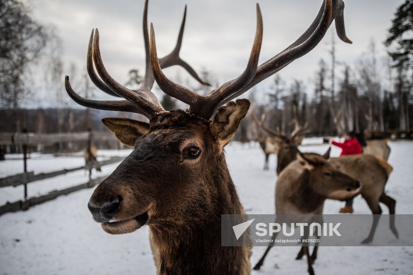Russia Zyuratkul National Park