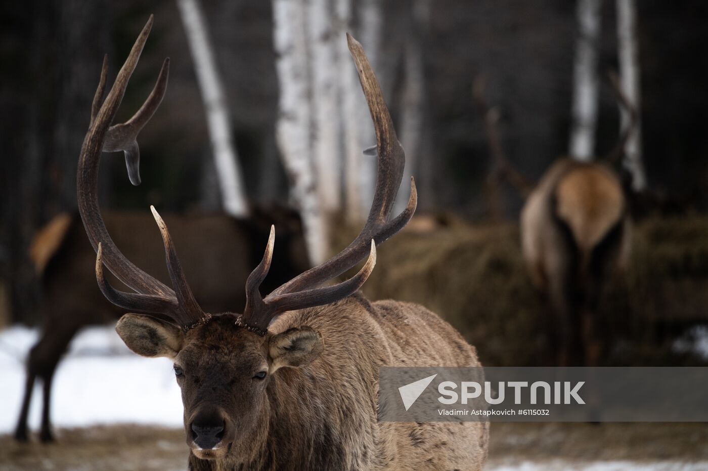 Russia Zyuratkul National Park