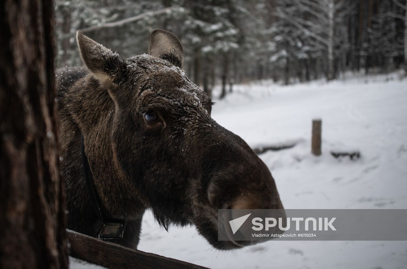 Russia Zyuratkul National Park