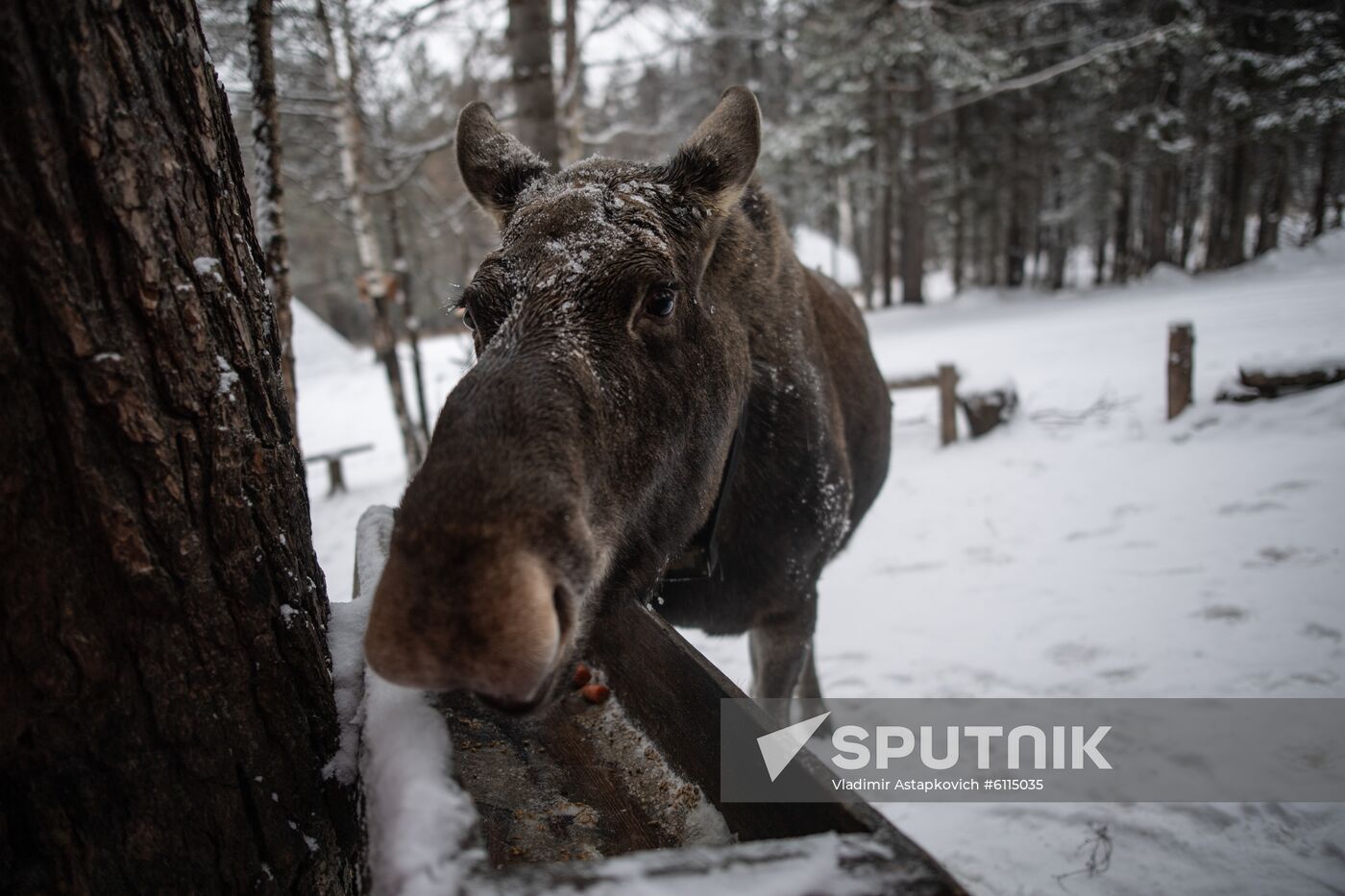 Russia Zyuratkul National Park