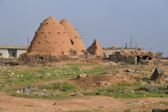 Syria Sukiya Village