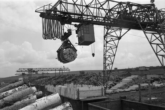 Loading timber inside railcars