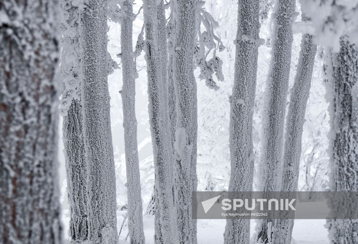 Russia Winter