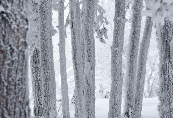 Russia Winter